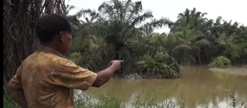 Dugaan Pencemaran, PT RAPP Bungkam dan Terkesan Kebal Hukum!